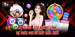 Lotto 365 - Top Những Sảnh Dự Đoán Con Số May Mắn Nhất 